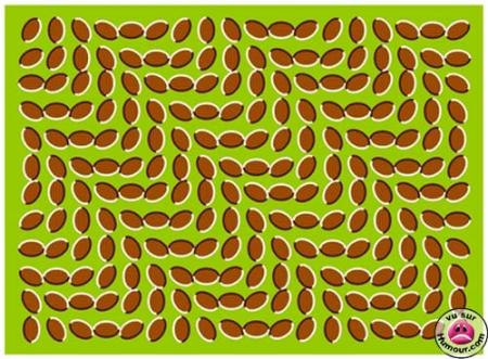 illusion